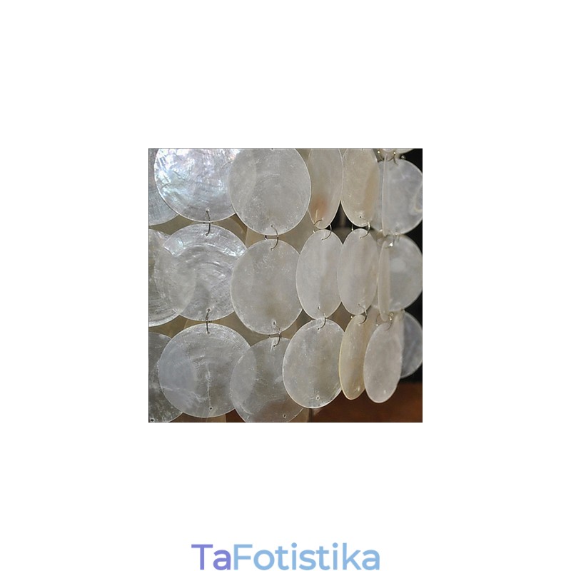 ΛΑΜΠΑ Minimalist Shell Chandelier Den Chandelier
