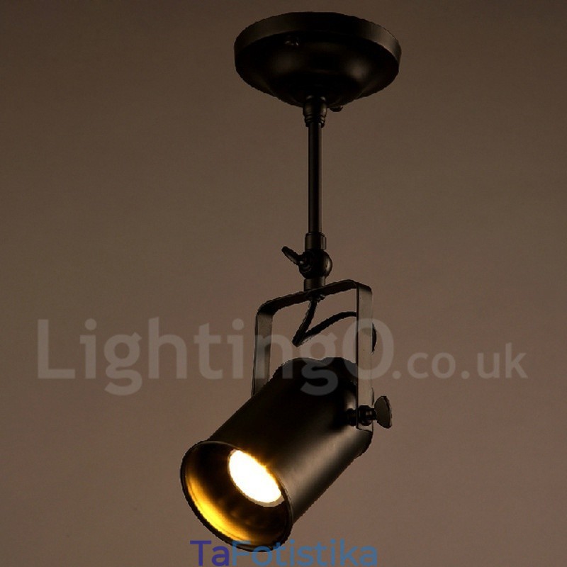 Rustic Lodge 1 Light Spot Lights