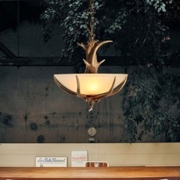 One Light Rustic Artistic Retro Antler Antique Φωτιστικό με Γυάλινη Απόχρωση