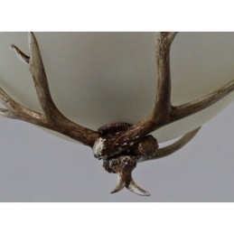 One Light Rustic Artistic Retro Antler Antique Φωτιστικό με Γυάλινη Απόχρωση