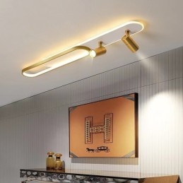 Nordic Long Strip Tailing Bright Downlight