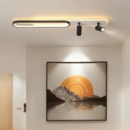 Nordic Long Strip Tailing Bright Downlight