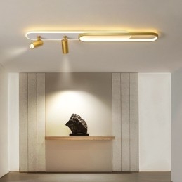 Nordic Long Strip Tailing Bright Downlight