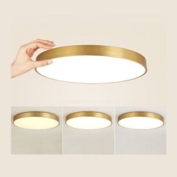 Στρογγυλό Flush Mount Μοντέρνο Χρυσό Ακρυλικό Φωτιστικό Οροφής