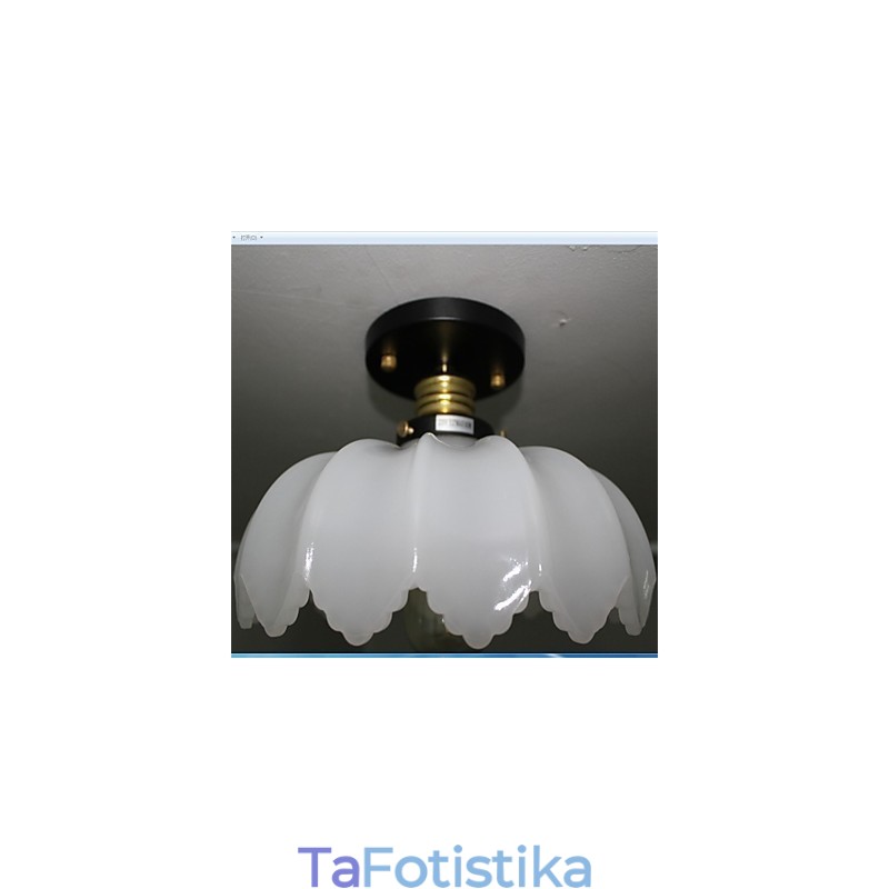 Imitation Jade Glass Retro 1 Head Φωτιστικό οροφής Lotus
