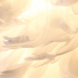 Διακοσμητικό κρεμαστό φωτιστικό Pretty Feather