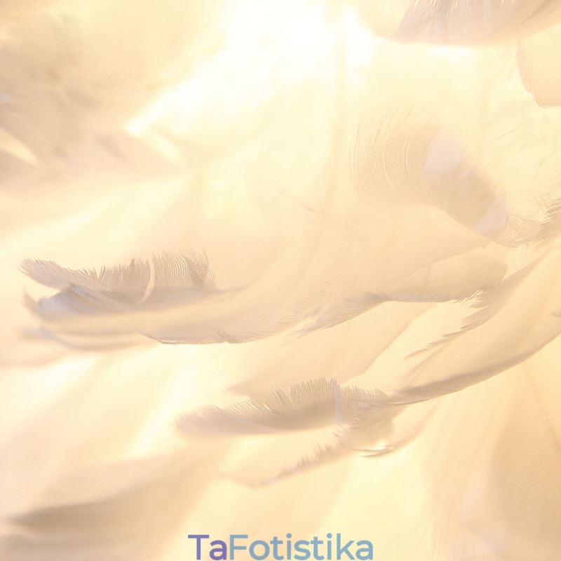 Διακοσμητικό κρεμαστό φωτιστικό Pretty Feather
