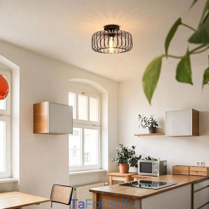 Φωτιστικό οροφής Simple Flush Mount Iron Bird Cage