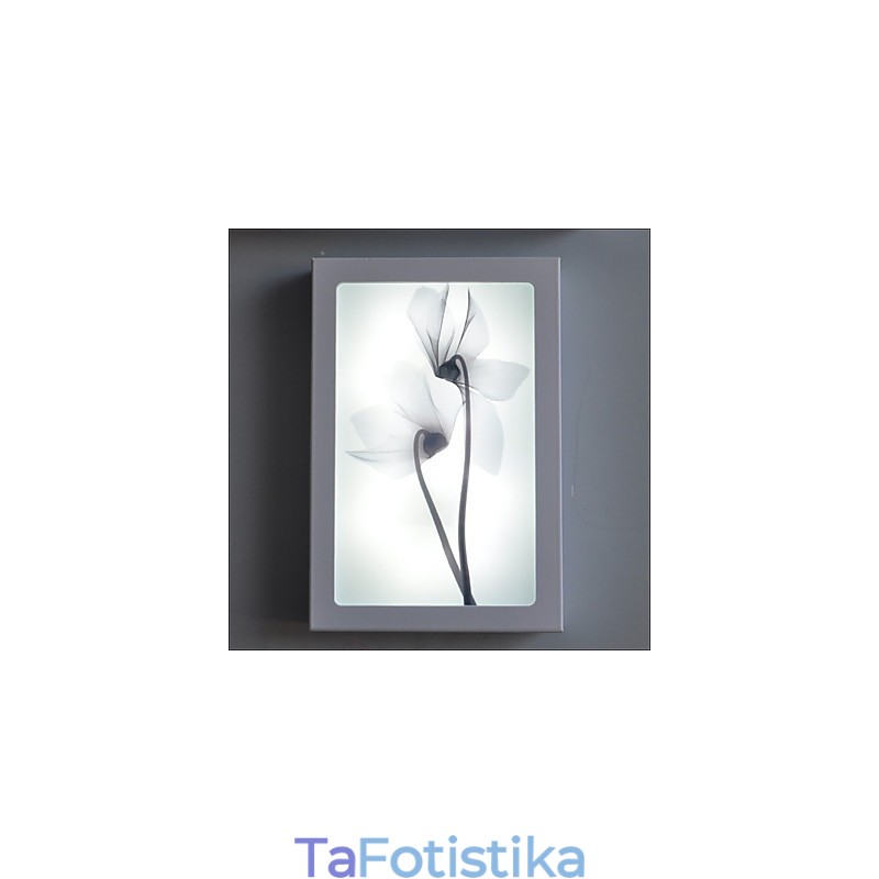 Ενσωματωμένη λειτουργία Μοντέρνας Σύγχρονης Σύγχρονης Σύγχρονης Ζωγραφικής για Απλίκες τοίχου με φως περιβάλλοντος