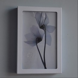 Ενσωματωμένη λειτουργία Μοντέρνας Σύγχρονης Σύγχρονης Σύγχρονης Ζωγραφικής για Απλίκες τοίχου με φως περιβάλλοντος