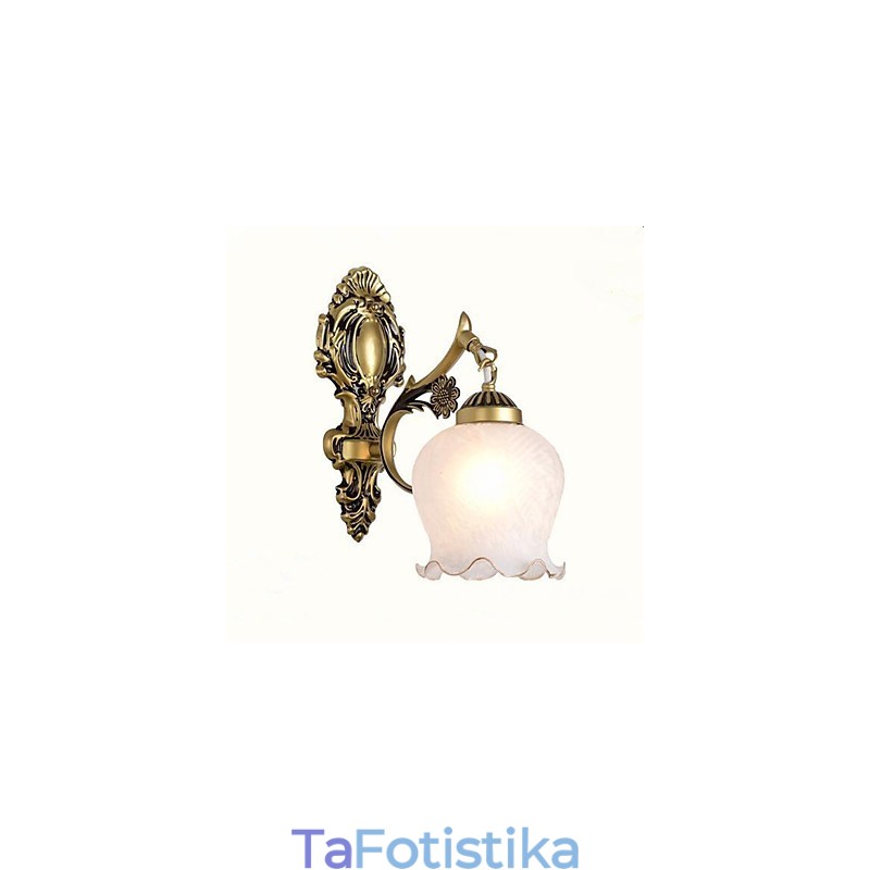 Μοντέρνο, μοντέρνο ηλεκτρολυμένο χαρακτηριστικό για τα φώτα τοίχου με προστατευτικό βραχίονα
