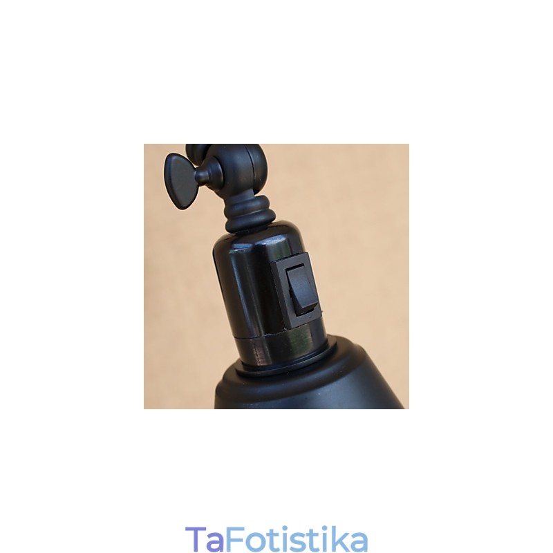 Λειτουργία Country Retro Painting για Mini Style Swing Arm Eye Protection Downlight Swing Arm Lights