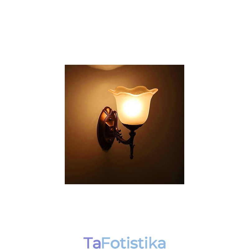 Μοντέρνο σύγχρονο ηλεκτρολυμένο χαρακτηριστικό για προστασία ματιών Φωτιστικά τοίχου ευρωπαϊκού ή αμερικανικού στυλ