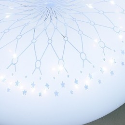 Europe Type Style Contemporary and Contracted Fashion To Absorb Dome Light Light
