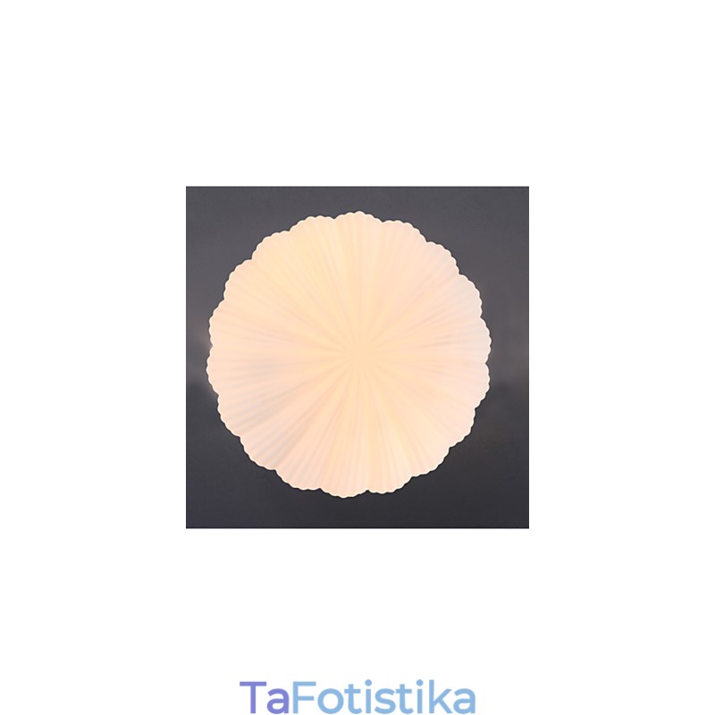 Τα Nordic Creative Glass Shells To Absorb Dome Light