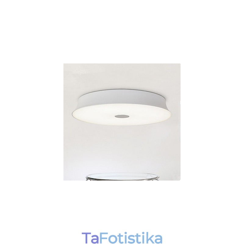 Σύγχρονη Σύγχρονη Ζωγραφική Metal Flush Mount