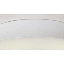 Σύγχρονη Σύγχρονη Ζωγραφική Metal Flush Mount