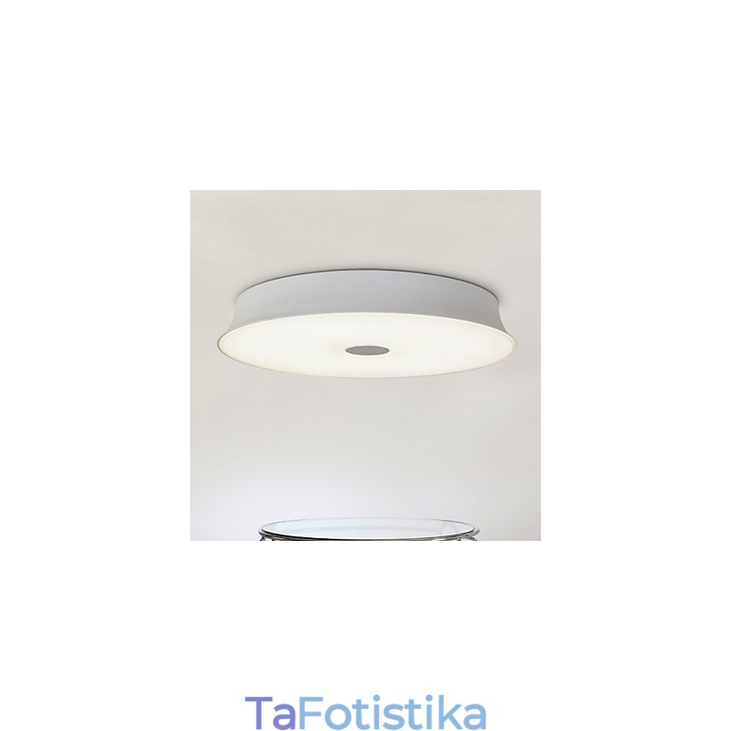 Flush Mount Modern Contemporary Metal