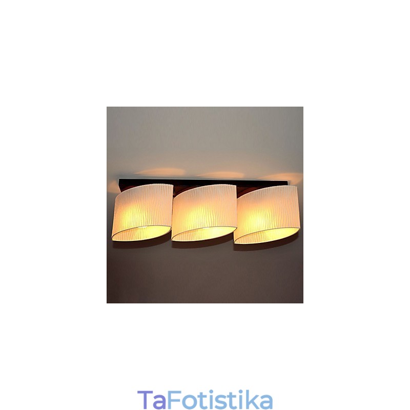 Σύγχρονη Σύγχρονη Ζωγραφική Metal Flush Mount