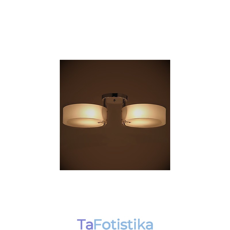 Flush Mount Modern Contemporary 2 Φωτιστικά Φωτιστικό Οροφής Μεταλλικό