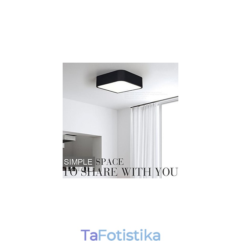 Σύγχρονη σύγχρονη ζωγραφική Metal Flush Mount Light