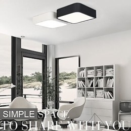 Σύγχρονη σύγχρονη ζωγραφική Metal Flush Mount Light