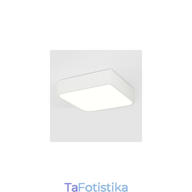 Σύγχρονη σύγχρονη ζωγραφική Metal Flush Mount Light