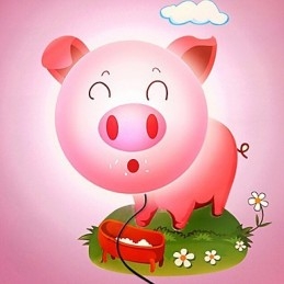 Το Pig ανθεκτικό σε υψηλές θερμοκρασίες πλαστικό φως και 10 C μπορεί να αφαιρέσει το δημιουργικό 3D φωτιστικό τοίχου