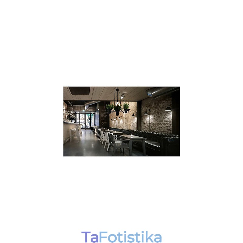 Λουλούδια Μεσογείου Κήπου Φως