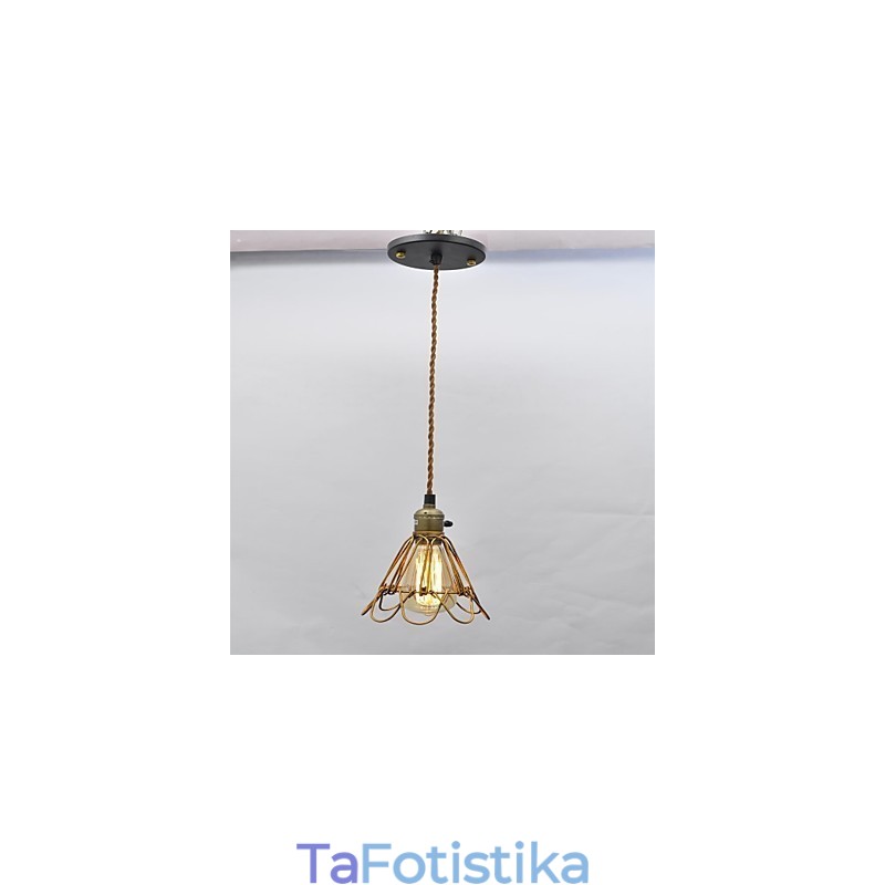Αμερικανική country Vintage μονόκεφαλος λωτός σιδερένιος πολυέλαιος