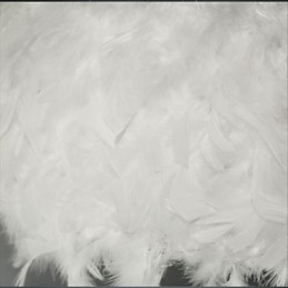 Hot Selling Dia Fashion Feather Πολυέλαιος Μοντέρνο φως