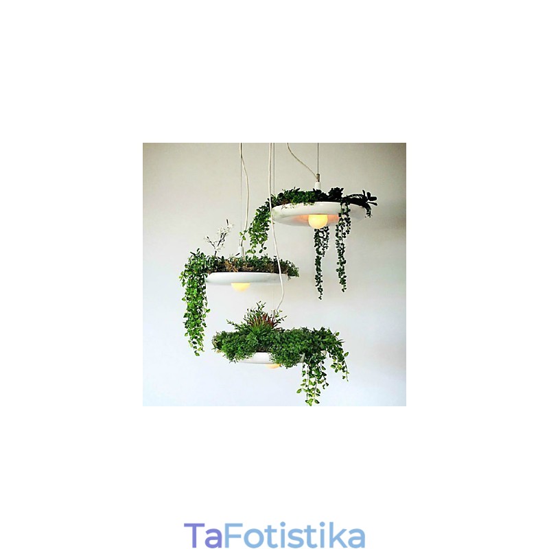 Αλουμίνιο Droplight Nordic Creative Contracted Sky Garden Lamps and Lanterns Light No Soil Plant