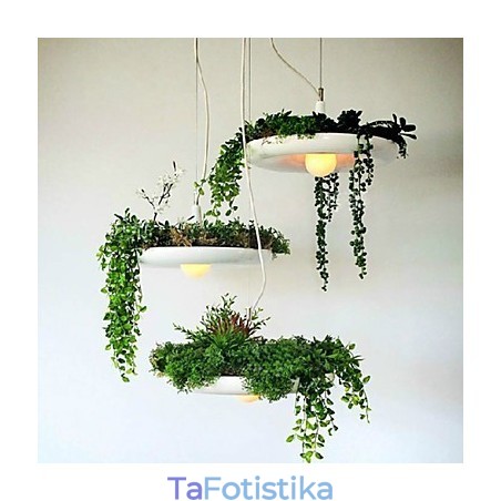 Αλουμίνιο Droplight Nordic Creative Contracted Sky Garden Lamps and Lanterns Light No Soil Plant Αλουμίνιο Droplight Nordic Creative Contracted Sky Garden Lamps and Lanterns Light No Soil Plant