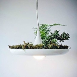 Αλουμίνιο Droplight Nordic Creative Contracted Sky Garden Lamps and Lanterns Light No Soil Plant