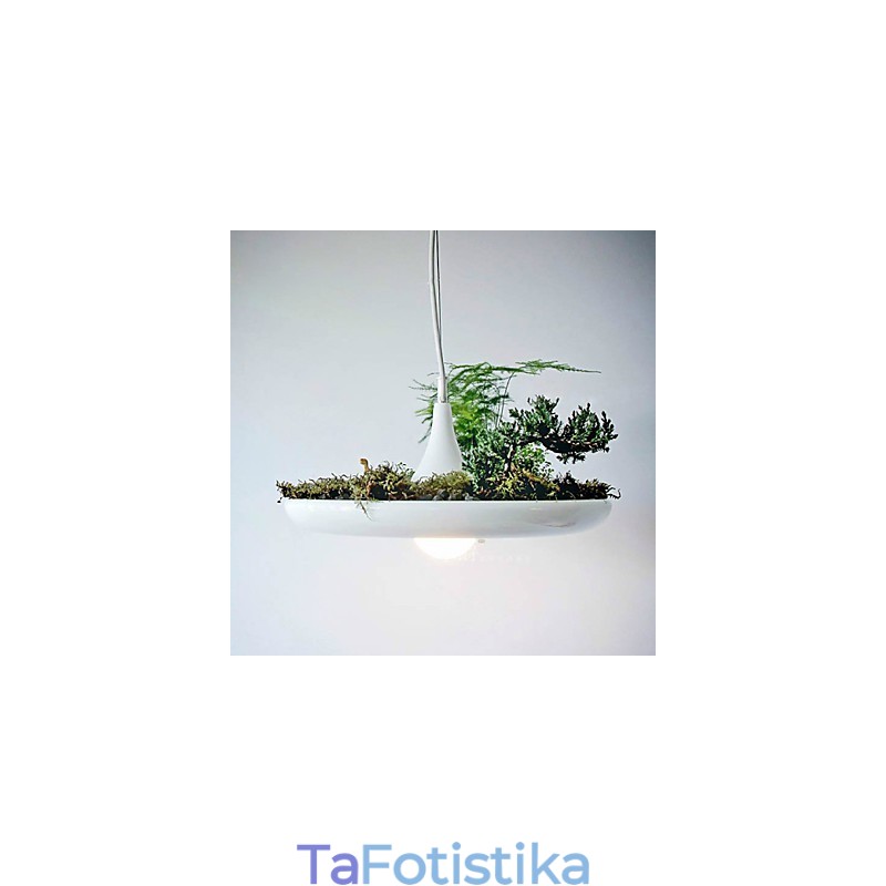 Αλουμίνιο Droplight Nordic Creative Contracted Sky Garden Lamps and Lanterns Light No Soil Plant