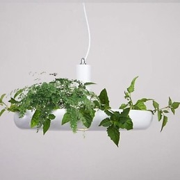 Αλουμίνιο Droplight Nordic Creative Contracted Sky Garden Lamps and Lanterns Light No Soil Plant