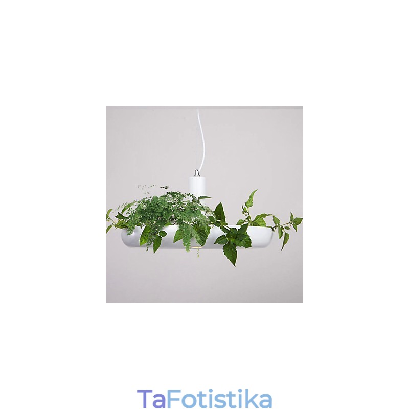 Αλουμίνιο Droplight Nordic Creative Contracted Sky Garden Lamps and Lanterns Light No Soil Plant