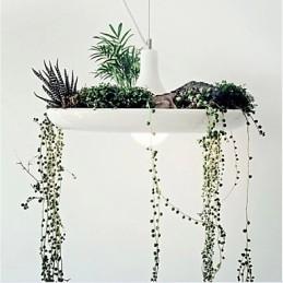 Αλουμίνιο Droplight Nordic Creative Contracted Sky Garden Lamps and Lanterns Light No Soil Plant