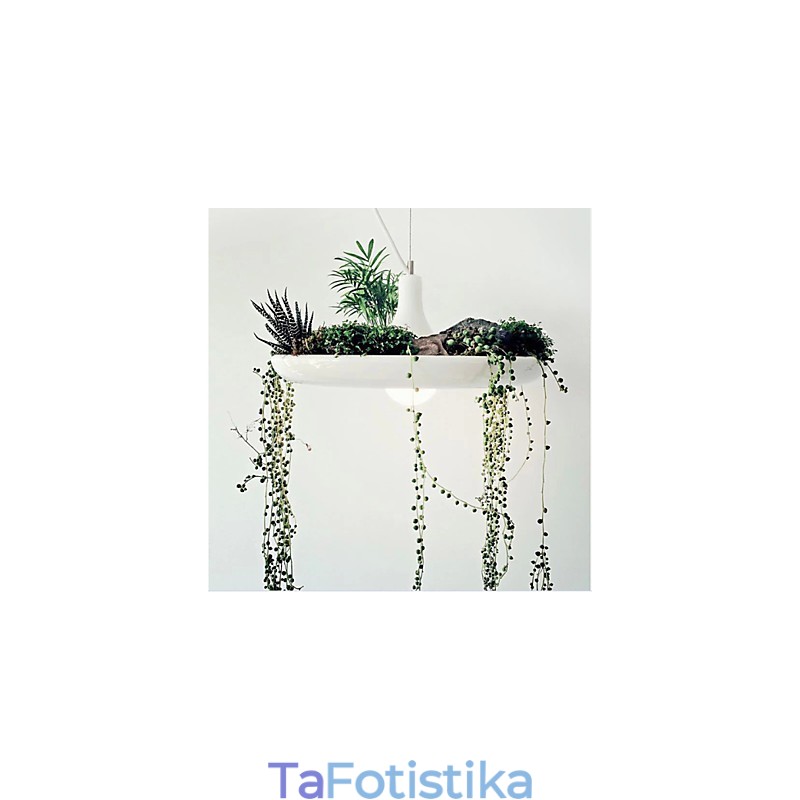 Αλουμίνιο Droplight Nordic Creative Contracted Sky Garden Lamps and Lanterns Light No Soil Plant