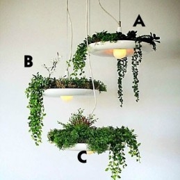 Αλουμίνιο Droplight Nordic Creative Contracted Sky Garden Lamps and Lanterns Light No Soil Plant